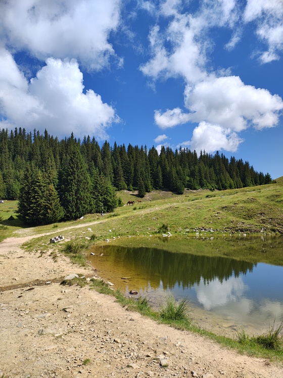 Țarcul Țarcului