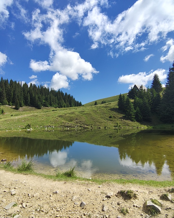 Țarcul Țarcului